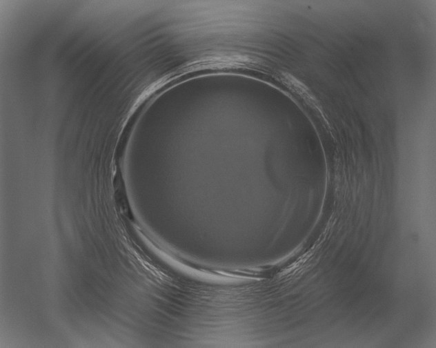 X0000051241226200507011617