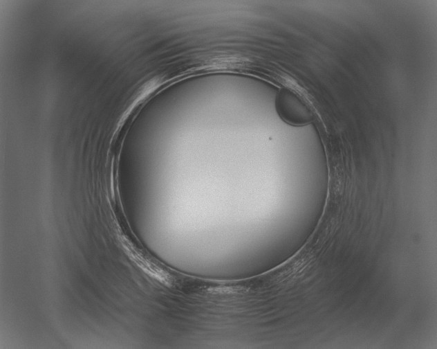 X0000051241227200507011617