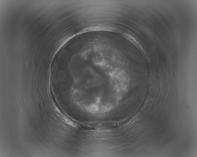 X0000051241228200507011617