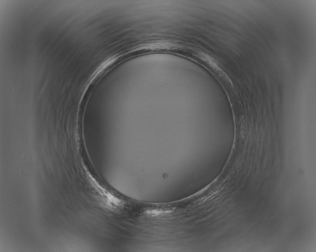 X0000051241229200507011617