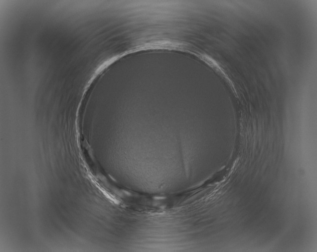 X0000051241230200507011617