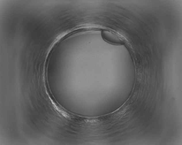 X0000051241231200507011617