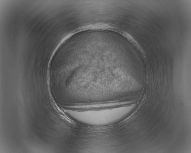 X0000051241232200507011617