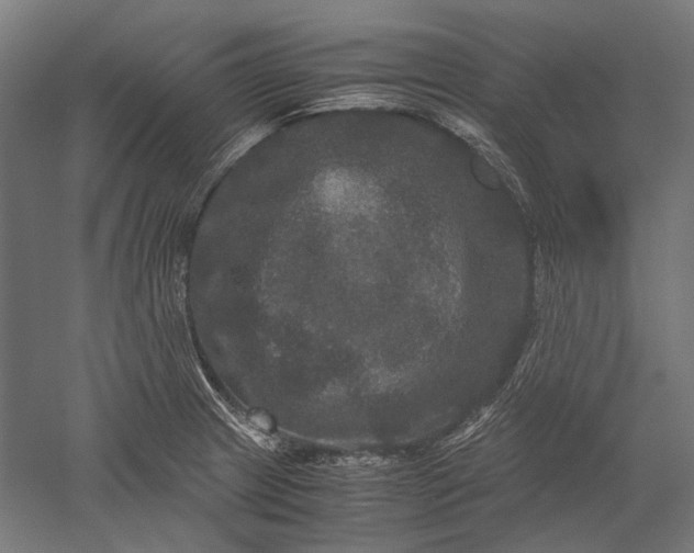 X0000051241233200507011617