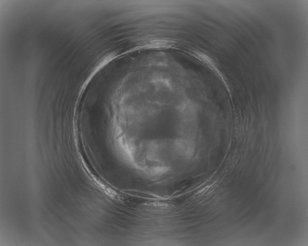 X0000051241235200507011617