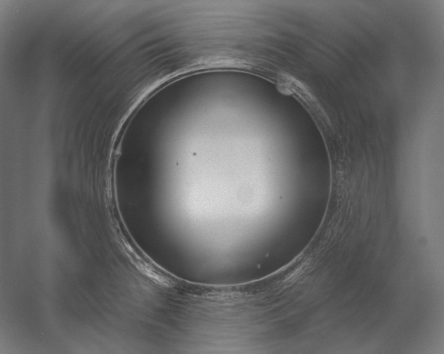 X0000051241236200507011617