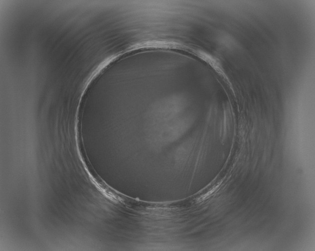 X0000051241237200507011617