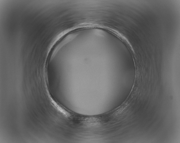 X0000051241239200507011617