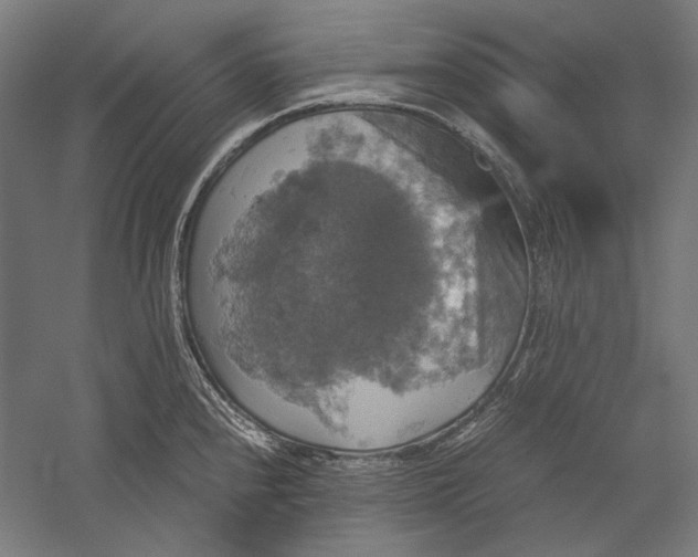 X0000051241240200507011617