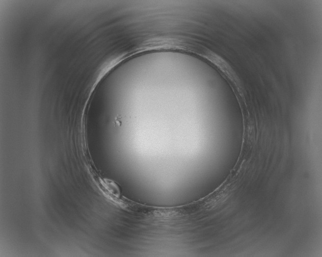 X0000051241242200507011618