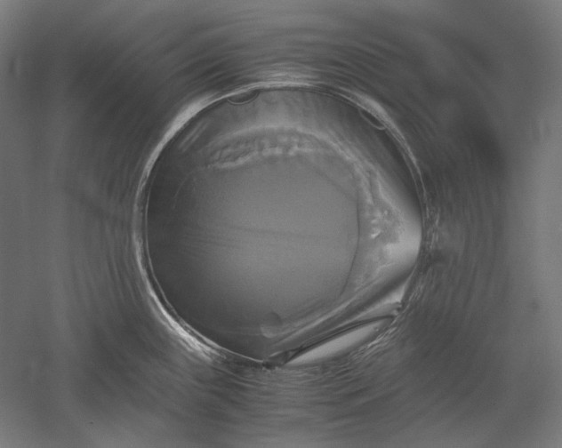 X0000051241243200507011618