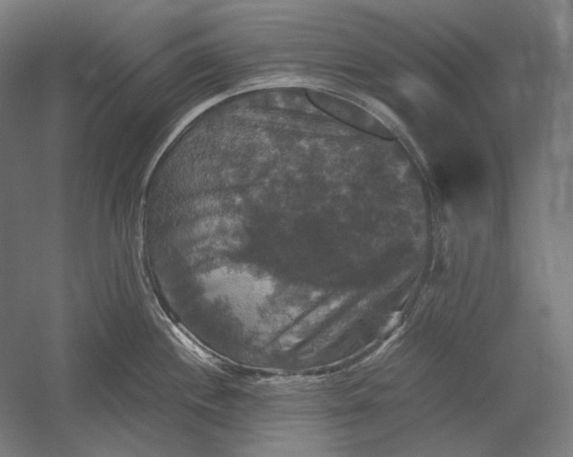 X0000051241244200507011618