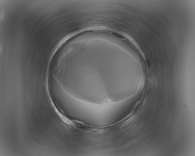 X0000051241245200507011618