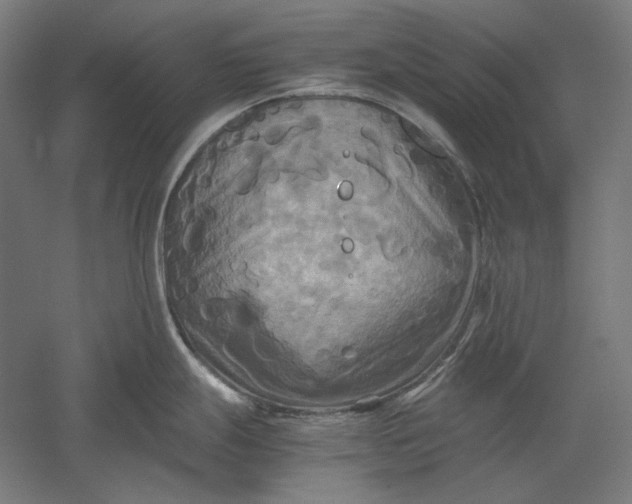 X0000051241247200507011618