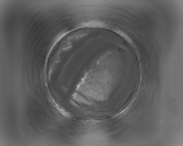 X0000051241248200507011618