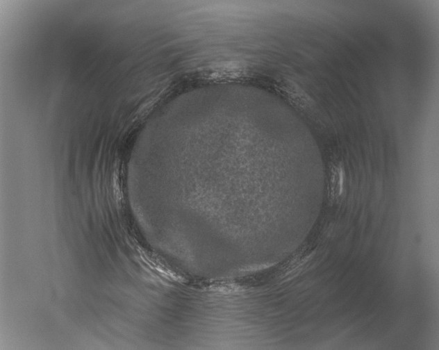 X0000051241250200507011617