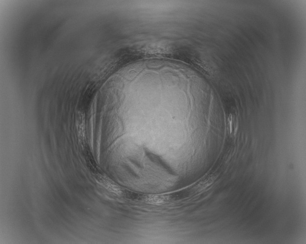 X0000051241251200507011617