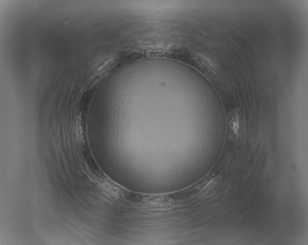 X0000051241252200507011617