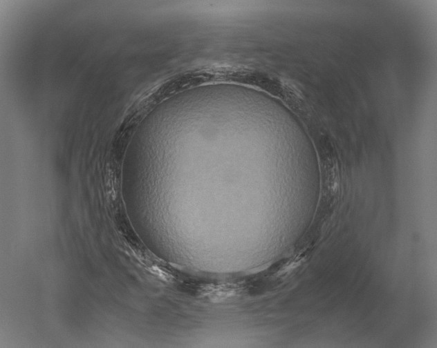 X0000051241253200507011617