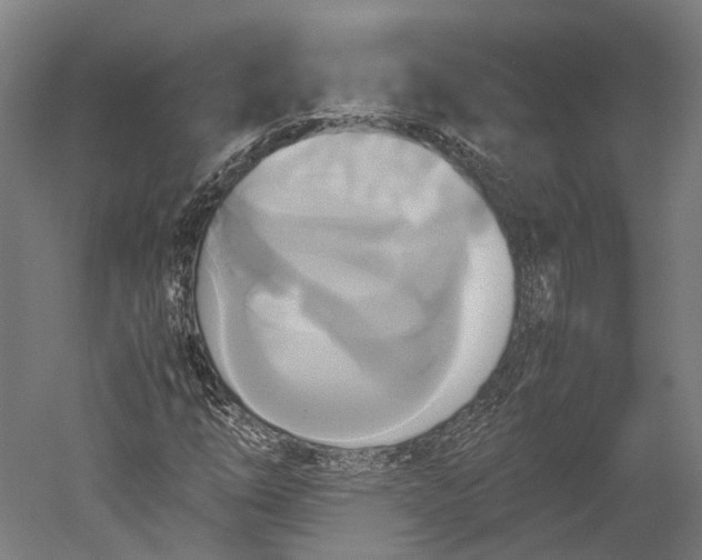 X0000051241254200507011617