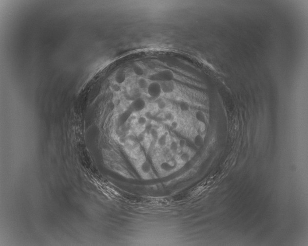 X0000051241255200507011617