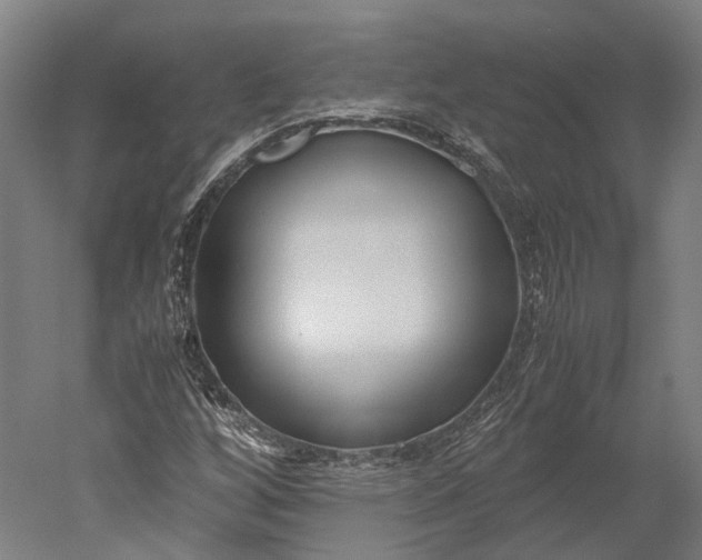 X0000051241256200507011617