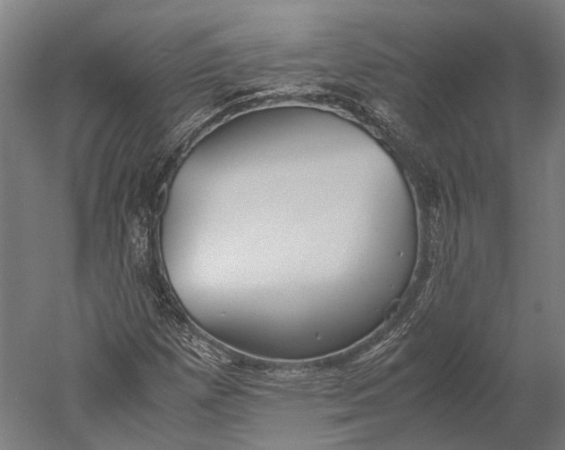 X0000051241257200507011617