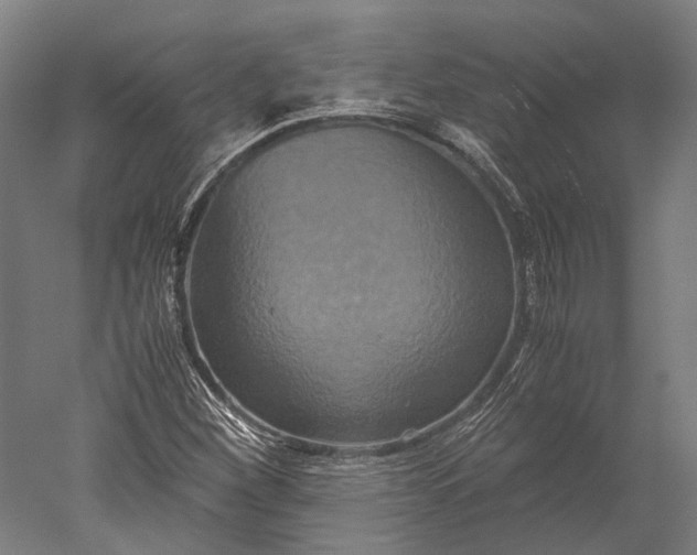 X0000051241260200507011617