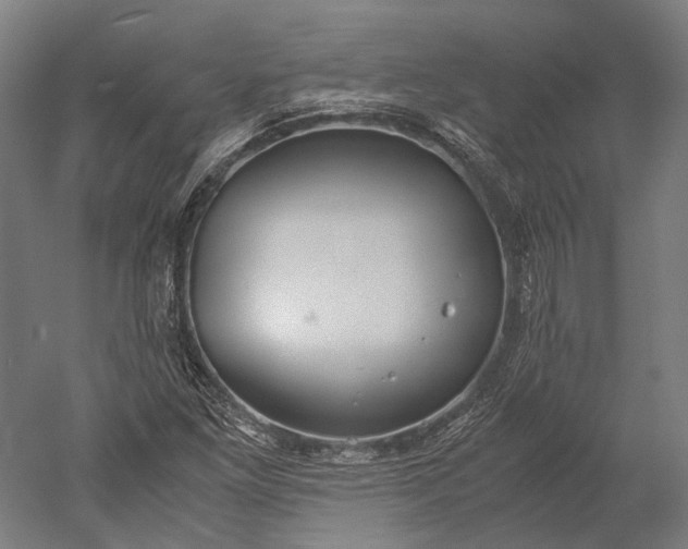 X0000051241261200507011617