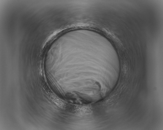 X0000051241262200507011617