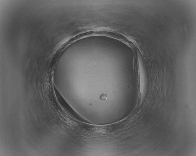 X0000051241263200507011617