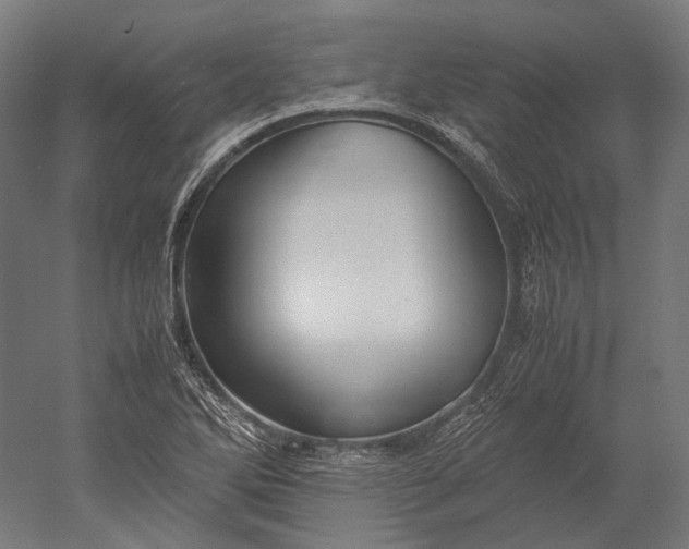 X0000051241270200507011616