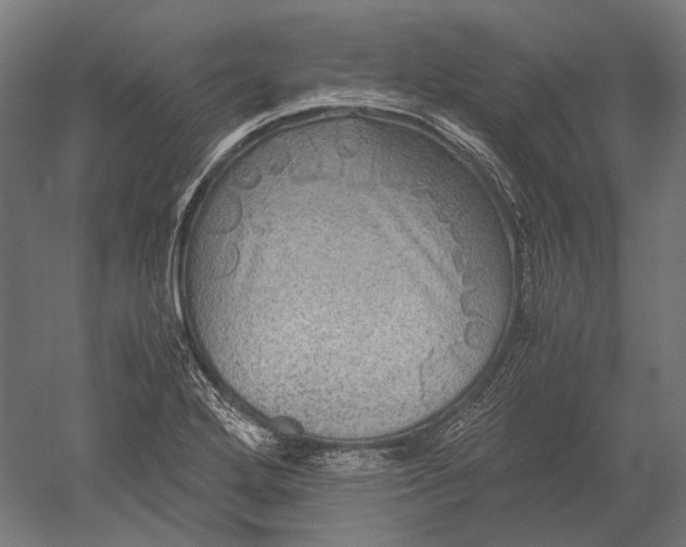 X0000051241272200507011616