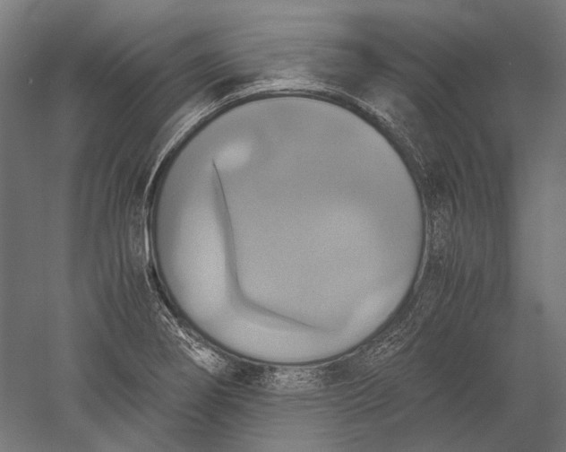 X0000051241274200507011616