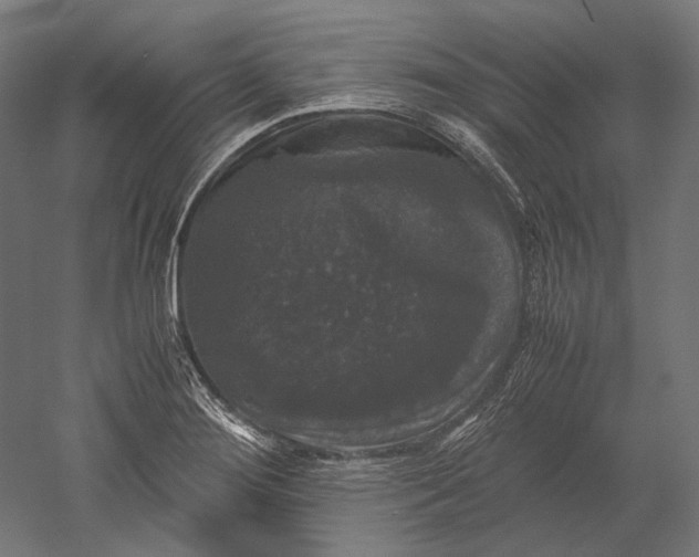 X0000051241276200507011616