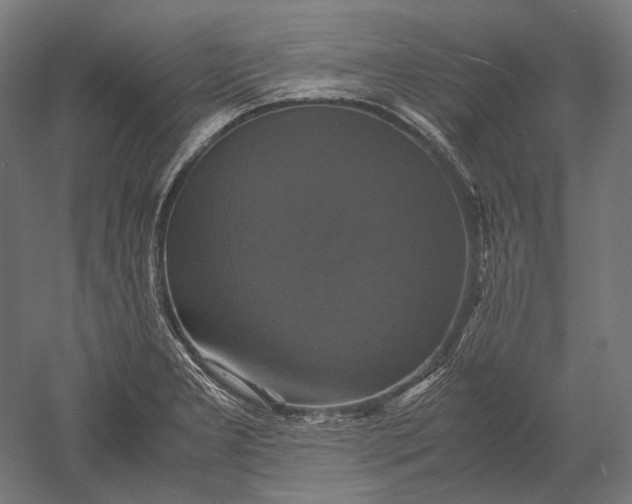 X0000051241277200507011616