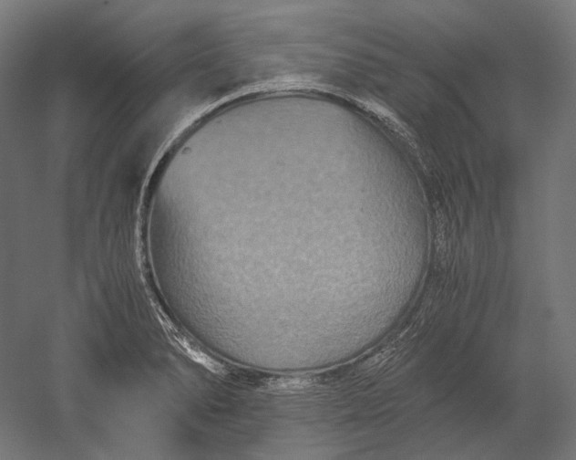 X0000051241278200507011616