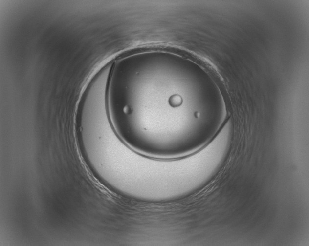 X0000051241279200507011616