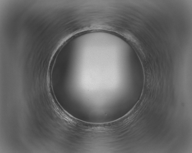 X0000051241280200507011616