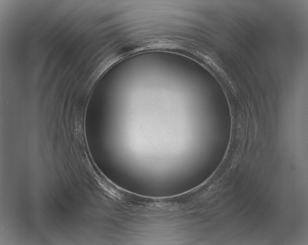 X0000051241281200507011616