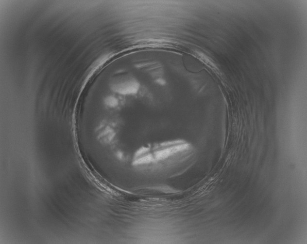 X0000051241283200507011616