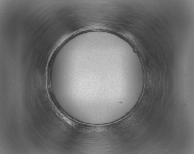 X0000051241286200507011616