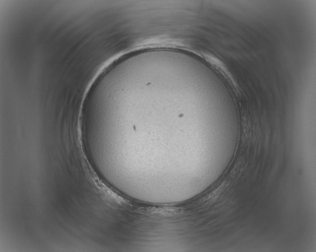 X0000051241288200507011616