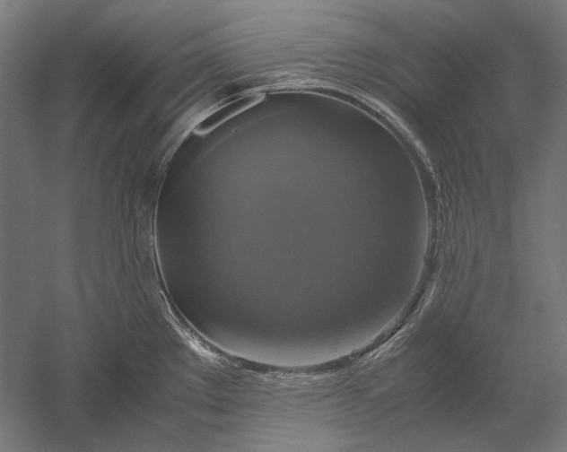 X0000051241289200507011616