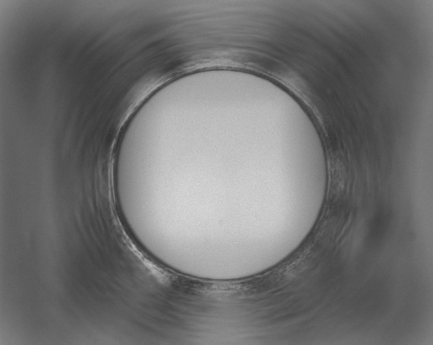 X0000051241290200507011616