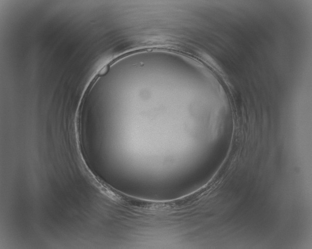 X0000051241291200507011616