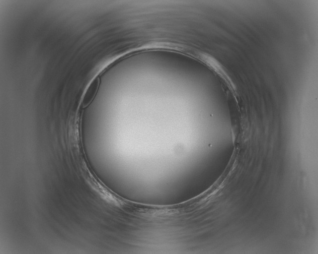 X0000051241292200507011616