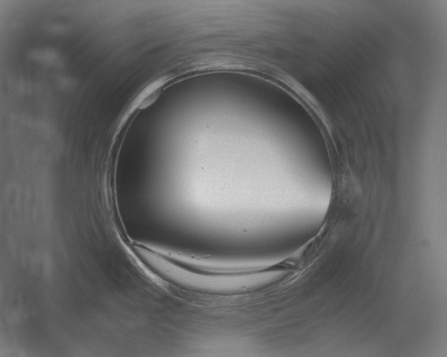 X0000051241293200507011616