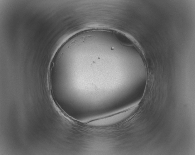 X0000051241295200507011616