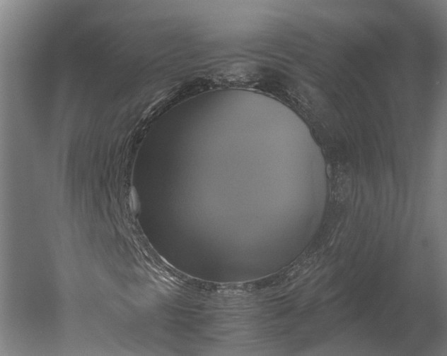 X0000051241297200507011615